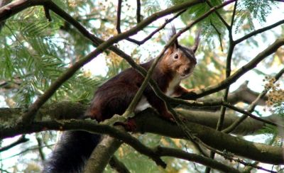 Fotografias da Natureza no Campus da UTAD vista pela objectiva de João Carrola.