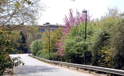 Campus