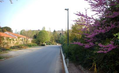 Campus