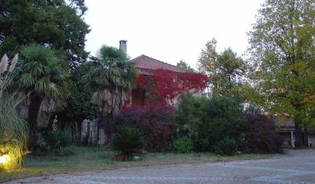 Herbário de Vila Real